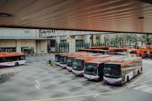 Виталий Хоценко и Сергей Шелест передали парку городского пассажирского транспорта 20 новых автобусов